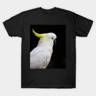 The Cockatoo T-Shirt